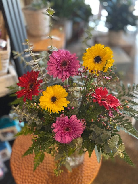 Gerbera Daisy half dozen