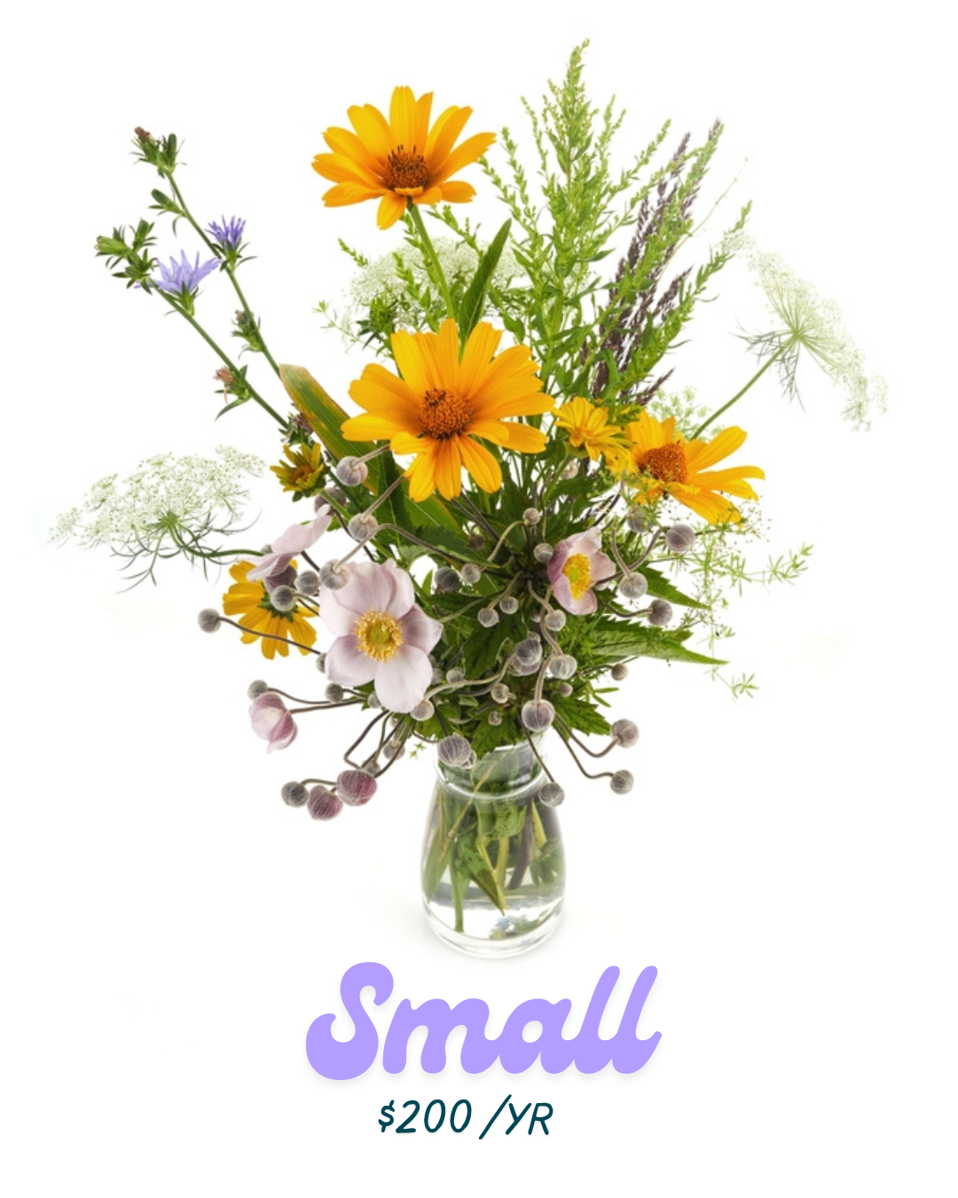 The Petal Post Flower of the Month Club