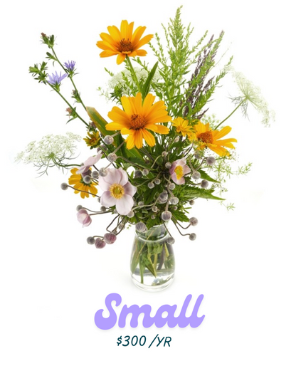 The Petal Post Flower of the Month Club