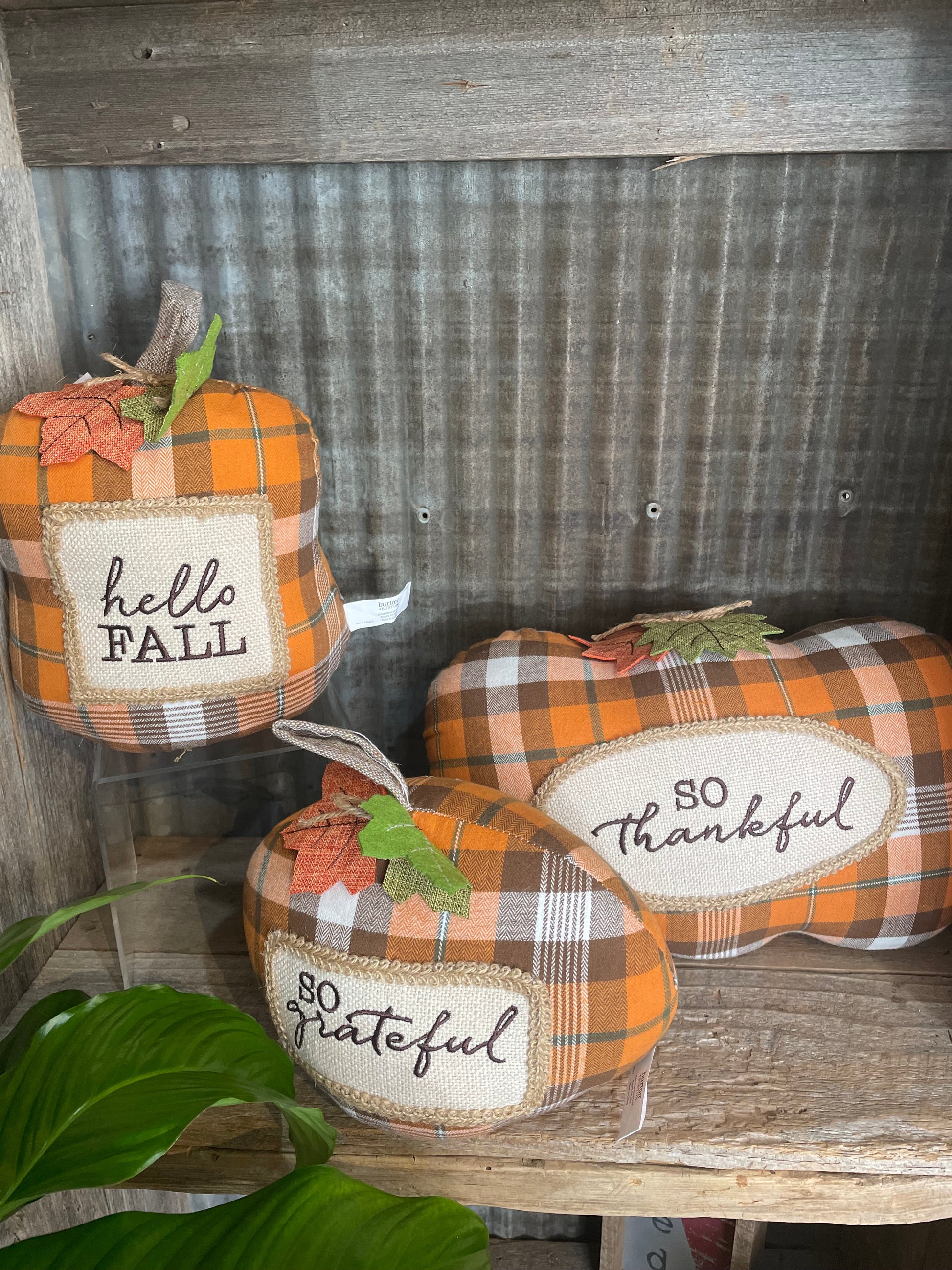 Plaid Pumpkins